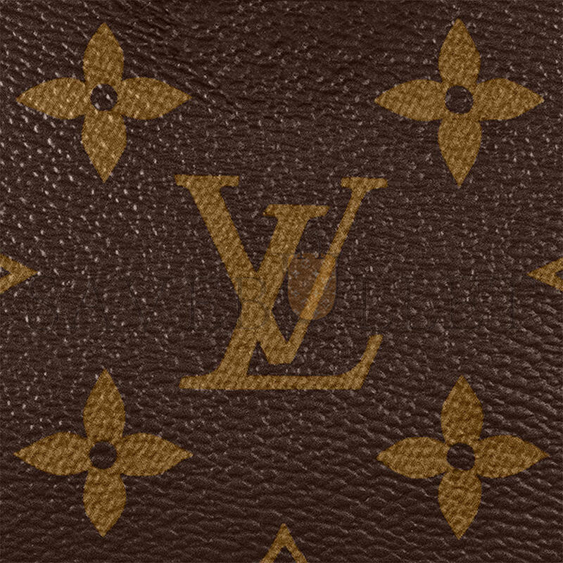 LOUIS VUITTON NANO SPEEDY M81085 (16*10*7.5cm)